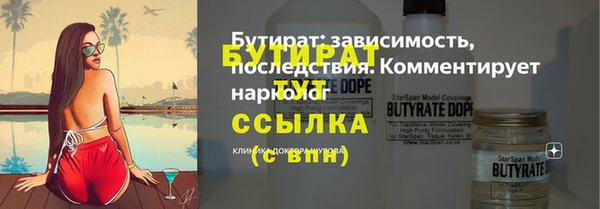 индика Богородицк