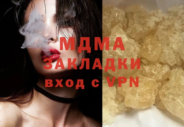 индика Богородицк