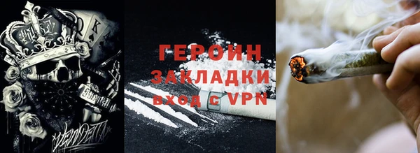 индика Богородицк