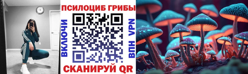 мега tor как найти закладки Валуйки Галлюциногенные грибы ЛСД
