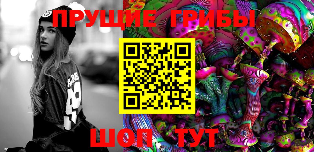 Галлюциногенные грибы Psilocybine cubensis  Вход с VPN  Валуйки 